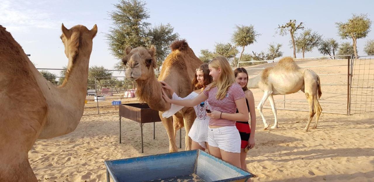 Legend Desert Camp Fulayj al Masha'ikh Экстерьер фото